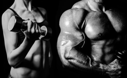 Cutting Steroids vs Best Bulking Steroids