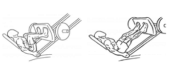 Leg Press Exercise Leg Press Exercise