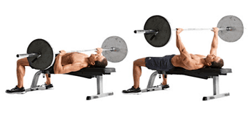 Barbell Bench Press Barbell Bench Press