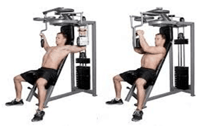 Pec Deck/ Butterfly Pec Deck/ Butterfly