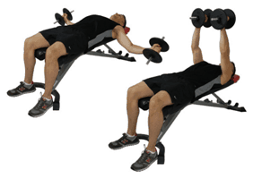 Dumbbell Flys Dumbbell Flys