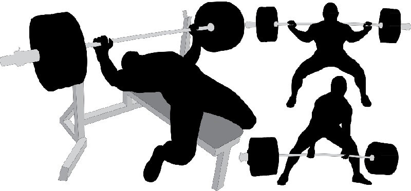 5 Muscle Building Beginners | Best Chest & Tricep Workout Supplements